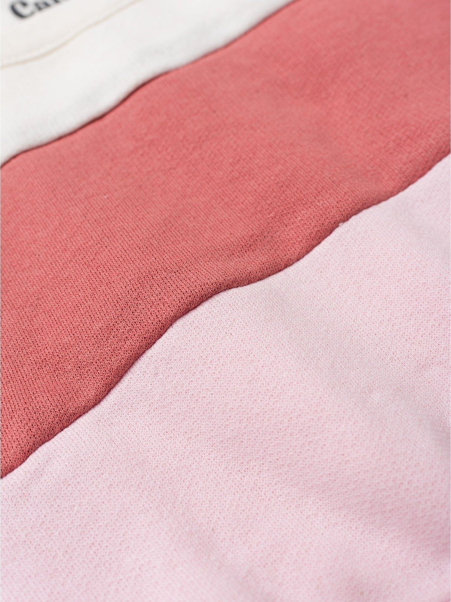 Conjunto Infantil Menina Moletom Peluciado Recortes Blush