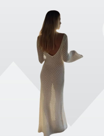 EllaAura Elegant V-Neck Sheer Evening Dress